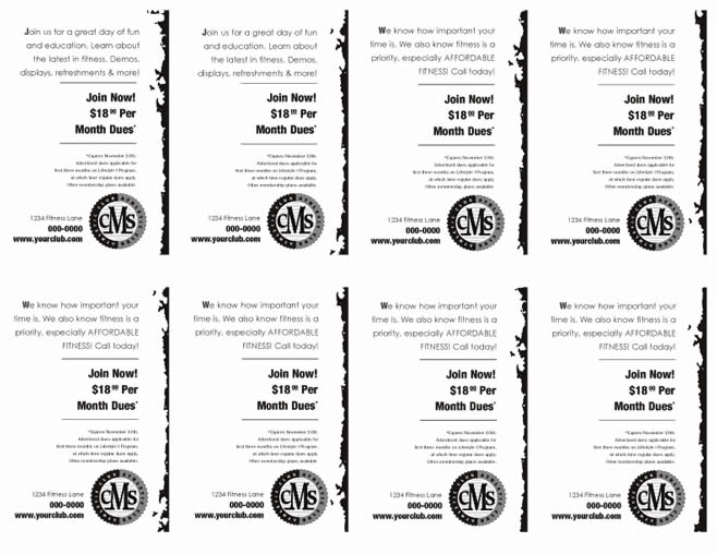 Window Cards-Back