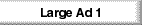  Large Ad 1 
